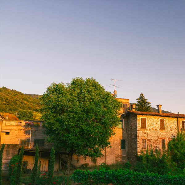 majowineri