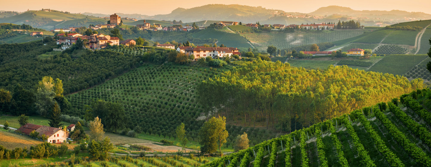 Home - FRANCIACORTA